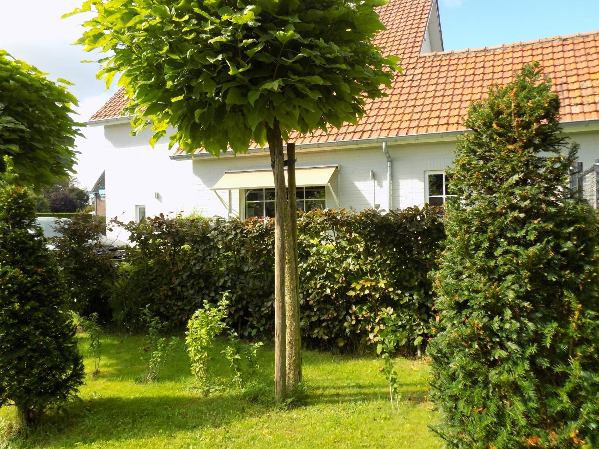 Villa Mooi Maasland Maaseik Exterior photo